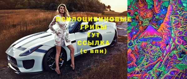 метамфетамин Гусев