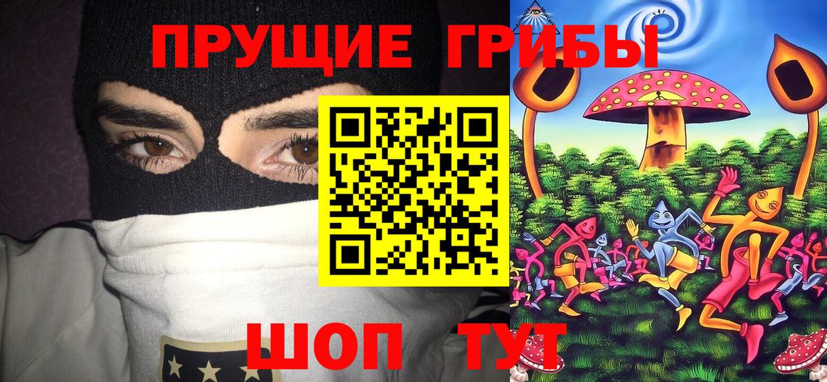 Псилоцибиновые грибы Magic Shrooms  Вход с VPN  Гусев 