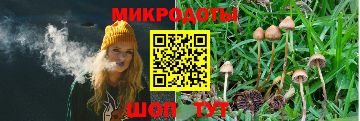 Галлюциногенные грибы Magic Shrooms  Галлюциногенные грибы GOLDEN TEACHER  Гусев 